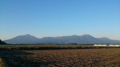 DSC_0654.jpg
